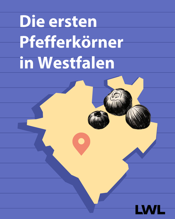 Instagram-Post von EDU_Westfalen