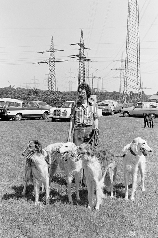 Mann mit vier Windhunden an der Leine Mann mit vier Windhunden an der Leine