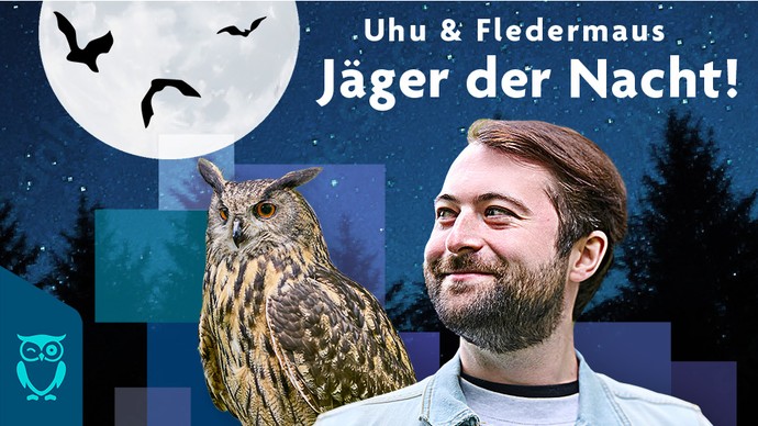 Westfalens Wald-, und Wiesenmonster Titelbild Folge 2