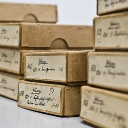 Historische Glasplattensammlung in einer Kühlzelle des Archivs © LWL-Medienzentrum für Westfalen