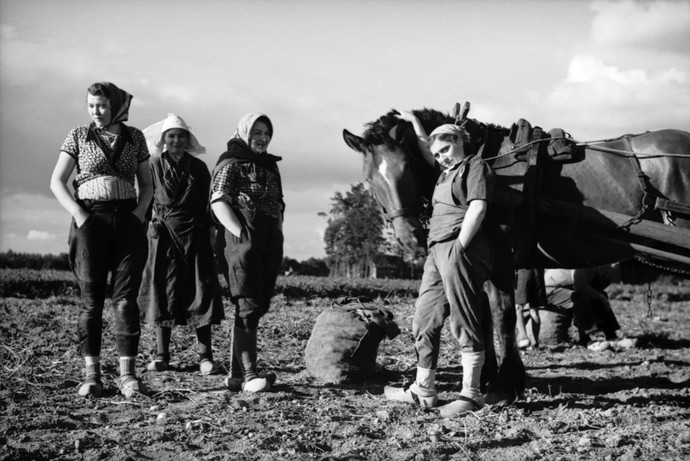 Kartoffelernte, Frauen auf dem Feld, mit Pferdefuhrwerk, Böckenhoff © LWL-Medienzentrum für Westfalen