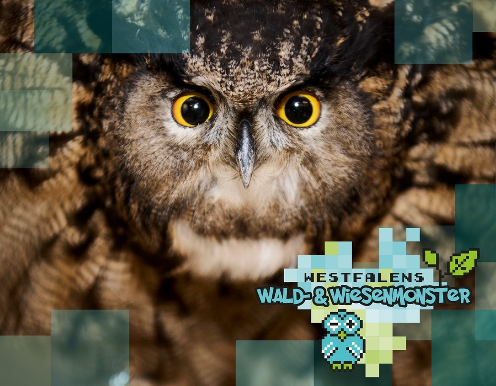Das Bild zeigt ein Uhu-Präparat und das Logo der Webserie Westfalens Wald- & Wiesenmonster.