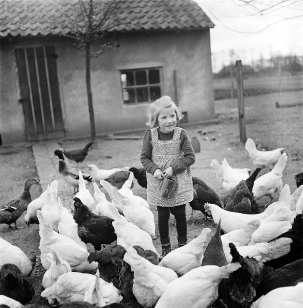 Mädchen hält Futterdose in der Hand und füttert Hühner