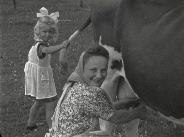 Landwirtschaft in Haaren 1940er Jahre, eine Kuh wird auf der Weide gemolken. © LWL-Medienzentrum für Westfalen