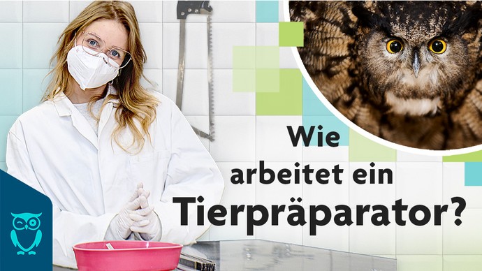 Westalens Wald und Wiesenmonster - Titelbild Folge 1